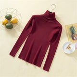 Knit Sweater Women